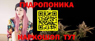 гидра Усть-Джегута
